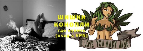 трава Лабытнанги