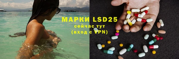 PSILOCYBIN Лагань