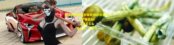 трава Лабытнанги