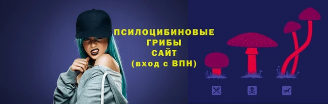 трава Лабытнанги