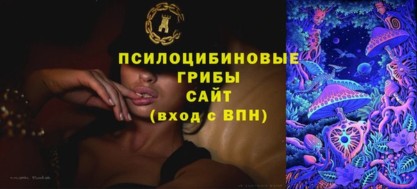 PSILOCYBIN Лагань